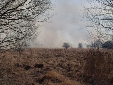 ������ ��������������� ����� � ����������� ����, ����� ���� ������������� ������ � ����������� ������� ���������� ���������� �������