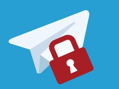 �������� �� ����������, 70% ������� � ������ ������� � Telegram