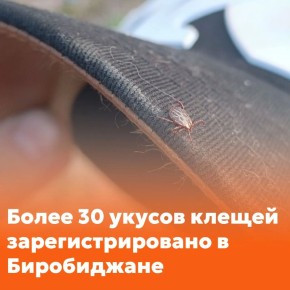 ����� 30 ������� ����������� ���������� �� ������ ������