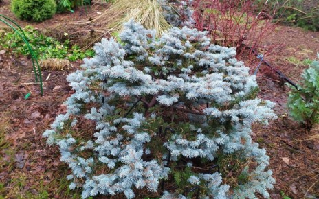 ������� ��������: ��� ������ �������