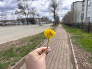 4 ���: ������� ������ � ������ ����������