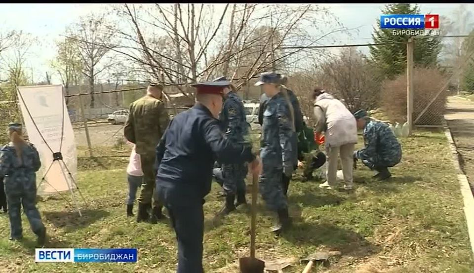 Международная акция «Сад памяти» стартовала в Еврейской автономии