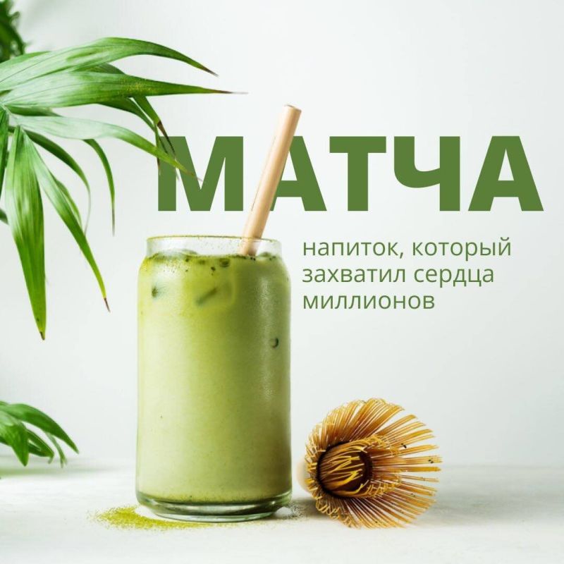 Почему напиток матча становится настоящим хитом среди любителей чая