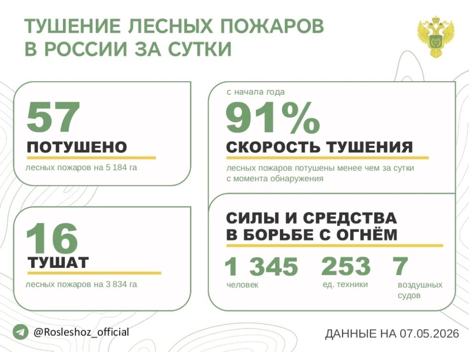 За прошедшие сутки в 16 регионах России потушили 57 лесных пожаров