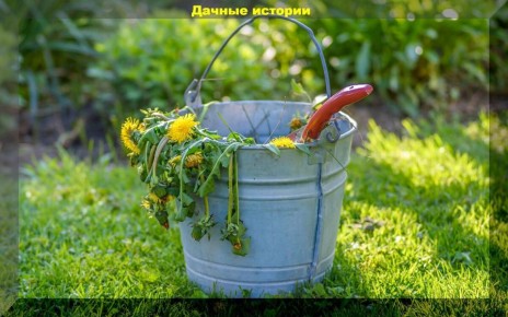 ������� ����������: ������� � ������ � ������������� ��������� �� ����
