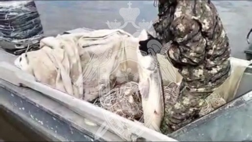 ����������� ��������� ���� ������� ������ �����������-��-�����, ������������� ���������� ������ ���� ������ ������