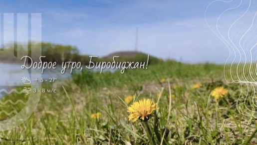 Шалом, Биробиджан!. Сегодня погода решила устроить нам настоящий аттракцион: ночью столбики термометров показывали всего +5 градусов, а днем, по прогнозам, воздух прогреется до +27 градусов! И хотя мы так ждали тепла, такие...
