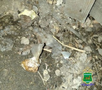 В Биробиджане сотрудники патрульно-постовой службы задержали подозреваемого в незаконном хранении наркотиков