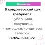 Вакансии и работа для тебя