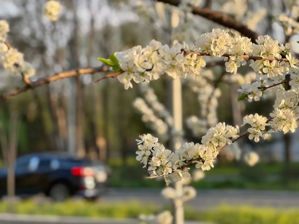 18 мая: Прогноз погоды и советы астрологов