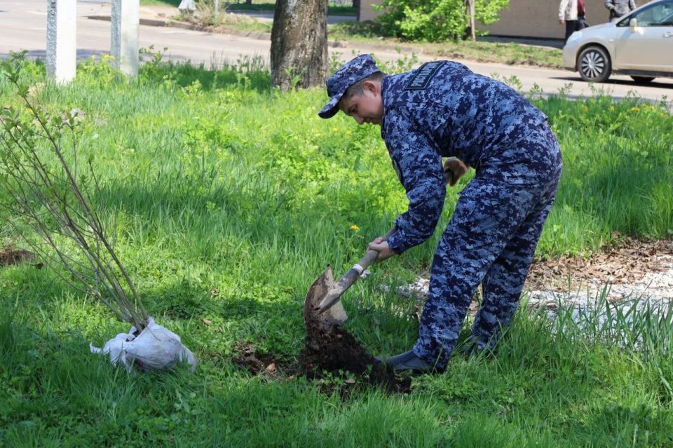 «Нить поколений» продолжается: в Биробиджане высадили сирень у станции скорой помощи «Нить поколений» продолжается: в Биробиджане высадили сирень у станции скорой помощи