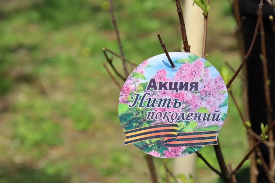 «Нить поколений» продолжается: в Биробиджане высадили сирень у станции скорой помощи «Нить поколений» продолжается: в Биробиджане высадили сирень у станции скорой помощи
