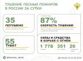 За прошедшие сутки в 23 регионах России потушили 35 лесных пожаров