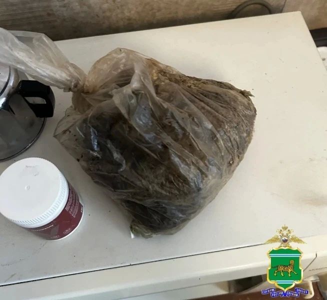 Полиция изъяла почти 370 граммов марихуаны у жителя посёлка Теплоозёрск ЕАО Полиция изъяла почти 370 граммов марихуаны у жителя посёлка Теплоозёрск ЕАО