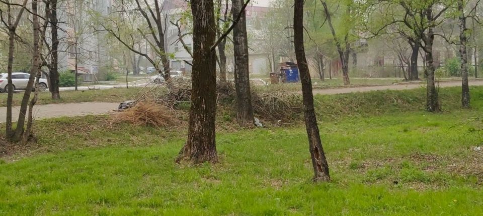 По обращениям горожан. . В социальных сетях и при личных встречах жители города озвучивают проблемы, касающиеся уборки города По обращениям горожан. . В социальных сетях и при личных встречах жители города озвучивают проблемы, касающиеся уборки города
