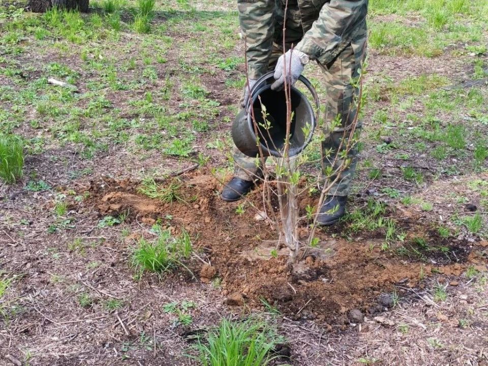 Акция "Нить поколений"(0+) объединила весь Биробиджан Акция "Нить поколений"(0+) объединила весь Биробиджан