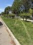 Перепутал автодорогу с газоном?