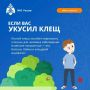 Сезон клещей в разгаре. И они не дремлют