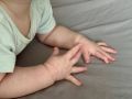 ������ ���������� ������, ��������� �������� ��������, ����� ������� �������� ���