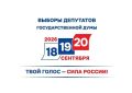 В Еврейской автономной области выборы депутатов Государственной Думы и Законодательного Собрания пройдут в трёхдневном формате