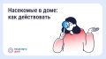 Борьба с насекомыми в многоквартирном доме