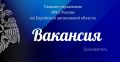 Ты любишь разбираться в причинах? Тогда это твоя работа