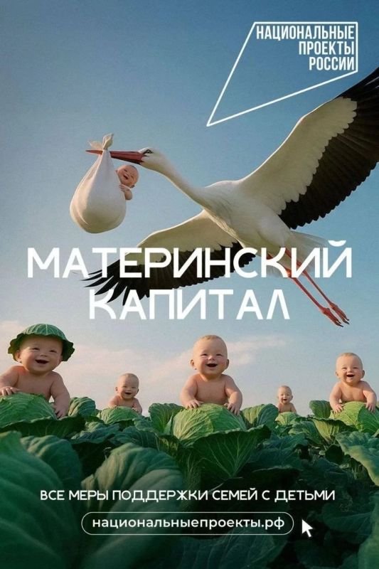 Семья — это целый мир!. Они бывают большими и шумными, маленькими и уютными, растущими и только-только зарождающимися