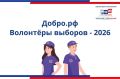 «Волонтёры выборов – 2026»: избирком ЕАО набирает добровольцев