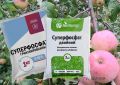 Суперфосфат для вашего сада: какой выбрать — обычный или двойной?