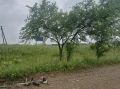 Ветеран СВО благоустраивает памятное место в Октябрьском районе ЕАО