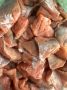 вкус горбуши: искусство слабосолёного деликатеса
