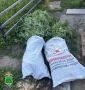 Полицейские ЕАО задержали подозреваемых в незаконном культивировании наркосодержащих растений
