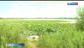 ����� ������� ����������� � ������ ������ ���������� ��������� � ��������������