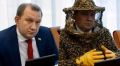 Депутата из ЛДПР подозревают в воровстве электричества для майнинга под видом пчеловодства