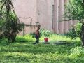 Коммунальные службы Биробиджана наводят порядок в городе