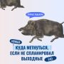 А ты уже знаешь куда пойдешь?