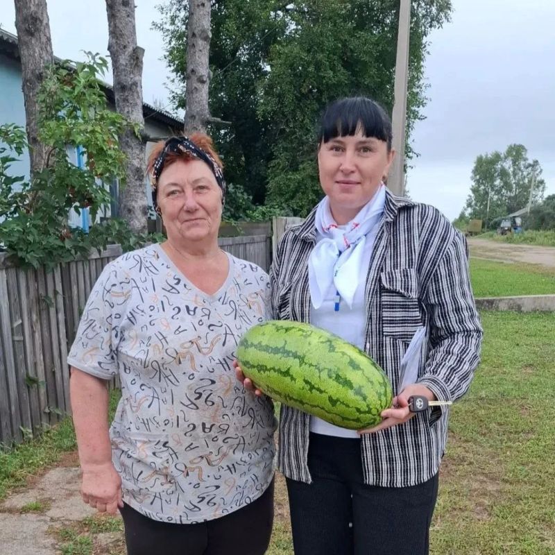 У нас про выборы знают все! И даже гуси на селе! У нас про выборы знают все! И даже гуси на селе!