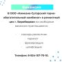 Вакансии и работа для тебя