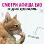 � �� ��� ������ ���� �������?
