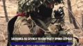 Семья под защитой: льготы для родных военнослужащих из ЕАО