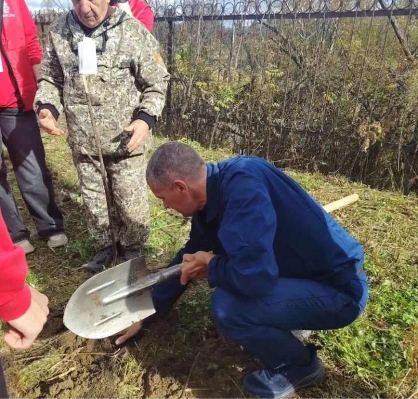 Еврейская автономная область: от горячих ключей Кульдура к зеленому будущему Еврейская автономная область: от горячих ключей Кульдура к зеленому будущему