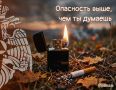 Осенний пал: опасность выше, чем ты думаешь