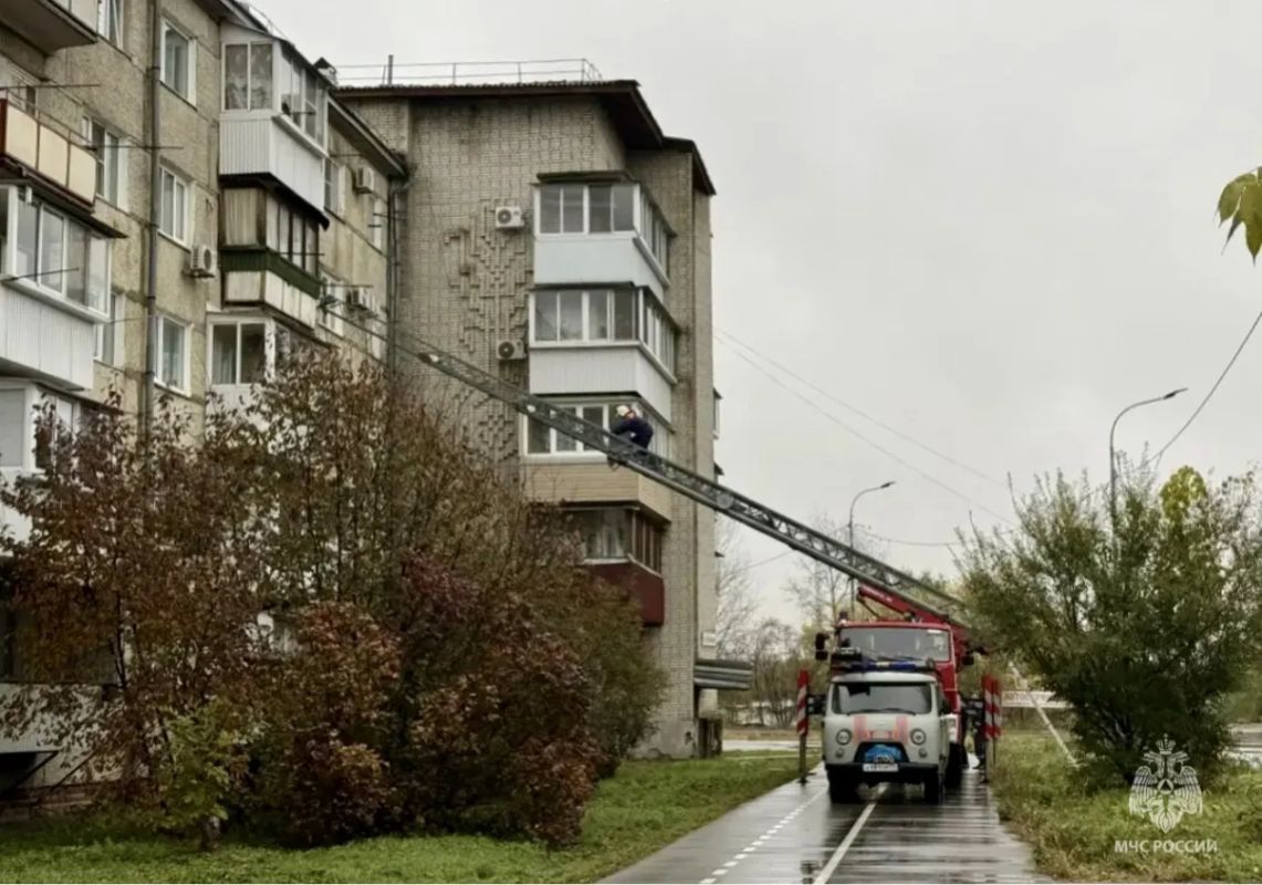 Слишком поздно. В МЧС России обратился участковый: пожилая биробиджанка несколько дней не открывает дверь и не отвечает на звонки