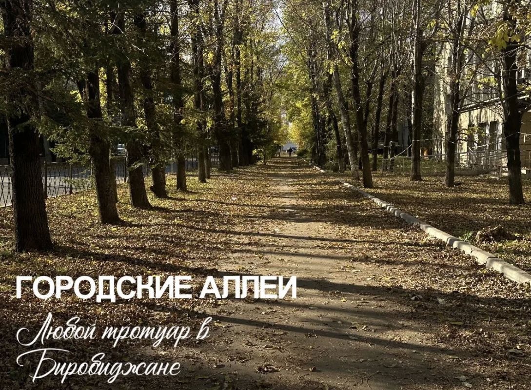 6 осенних локаций в Биробиджане для красивых фото 6 осенних локаций в Биробиджане для красивых фото