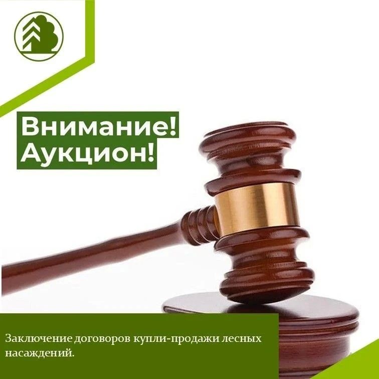 Объявляем о проведении открытого аукциона