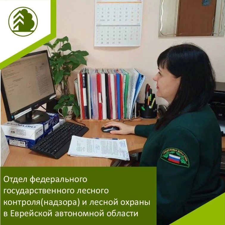 Отдел федерального государственного лесного контроля (надзора) и лесной охраны в Еврейской автономной области занимается защитой леса от незаконного использования и контролем за соблюдением лесного законодательства... Отдел федерального государственного лесного контроля (надзора) и лесной охраны в Еврейской автономной области занимается защитой леса от незаконного использования и контролем за соблюдением лесного законодательства...