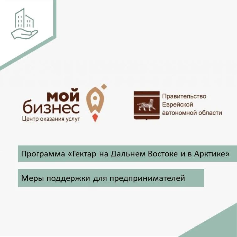 Меры господдержки для получателей «дв-гектара» - субъектов малого и среднего предпринимательства на базе ООО «Мой бизнес» ЕАО: