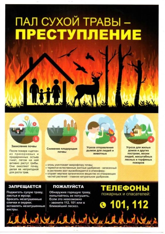 Пал травы недопустим!. Сухая трава и опавшая листва — как порох: одна искра может привести к быстрому и неконтролируемому пожару