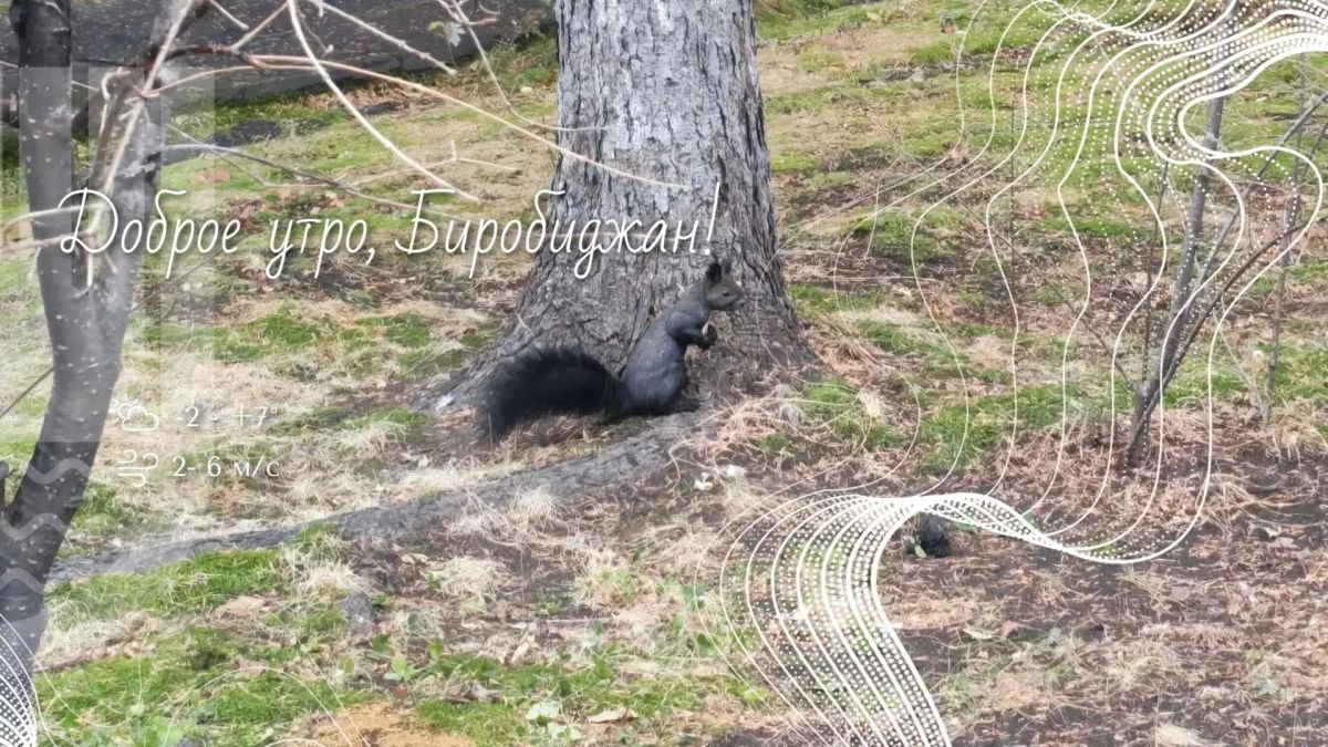 Шалом, Биробиджан!. Сегодня День деловых женщин — праздник, который с каждым годом становится все более популярным
