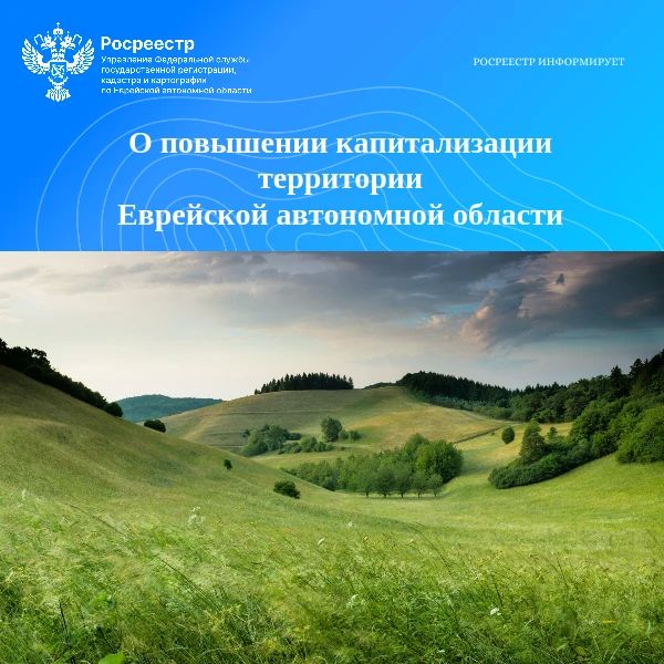 О повышении капитализации территории